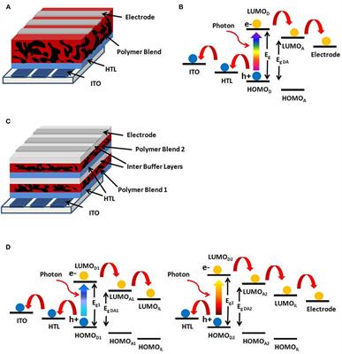Polymer Solar Cells—Interfacial Processes Related to Performance Issues